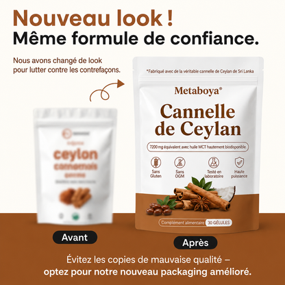 Cannelle de Ceylan 7200 mg, équivalent à de l'huile TCM