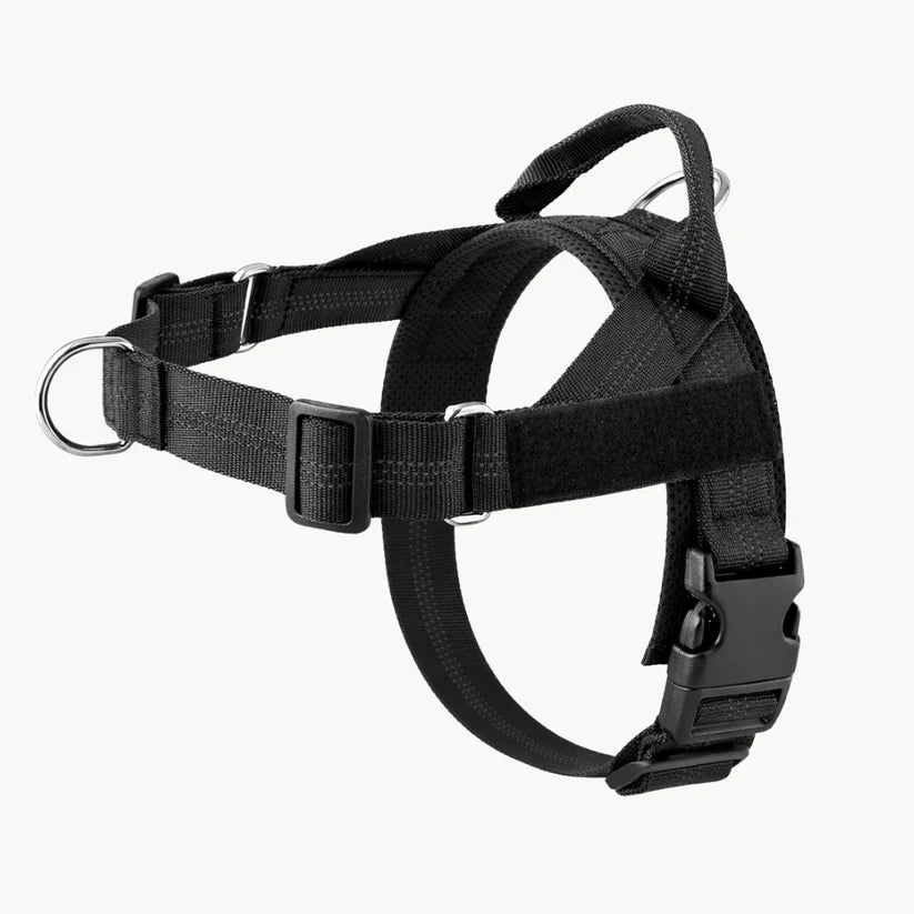Harnais Waffi Anti-Traction