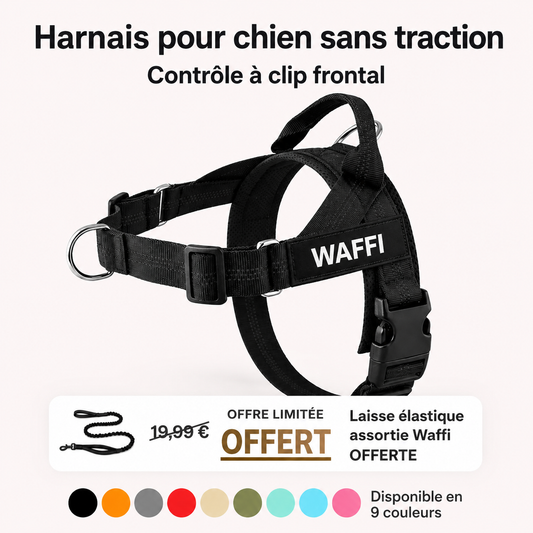 harnais anti-traction Waffi