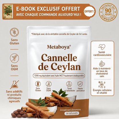 Cannelle de Ceylan 7200 mg, équivalent à de l'huile TCM